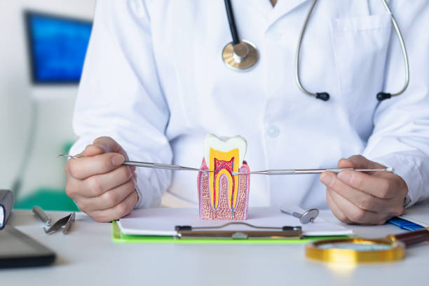 Best Emergency Root Canal Treatment in Saybrook Manor, CT